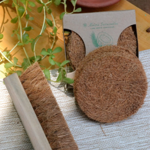 Coconut Fiber- Coir Scrub & Laundry Brush